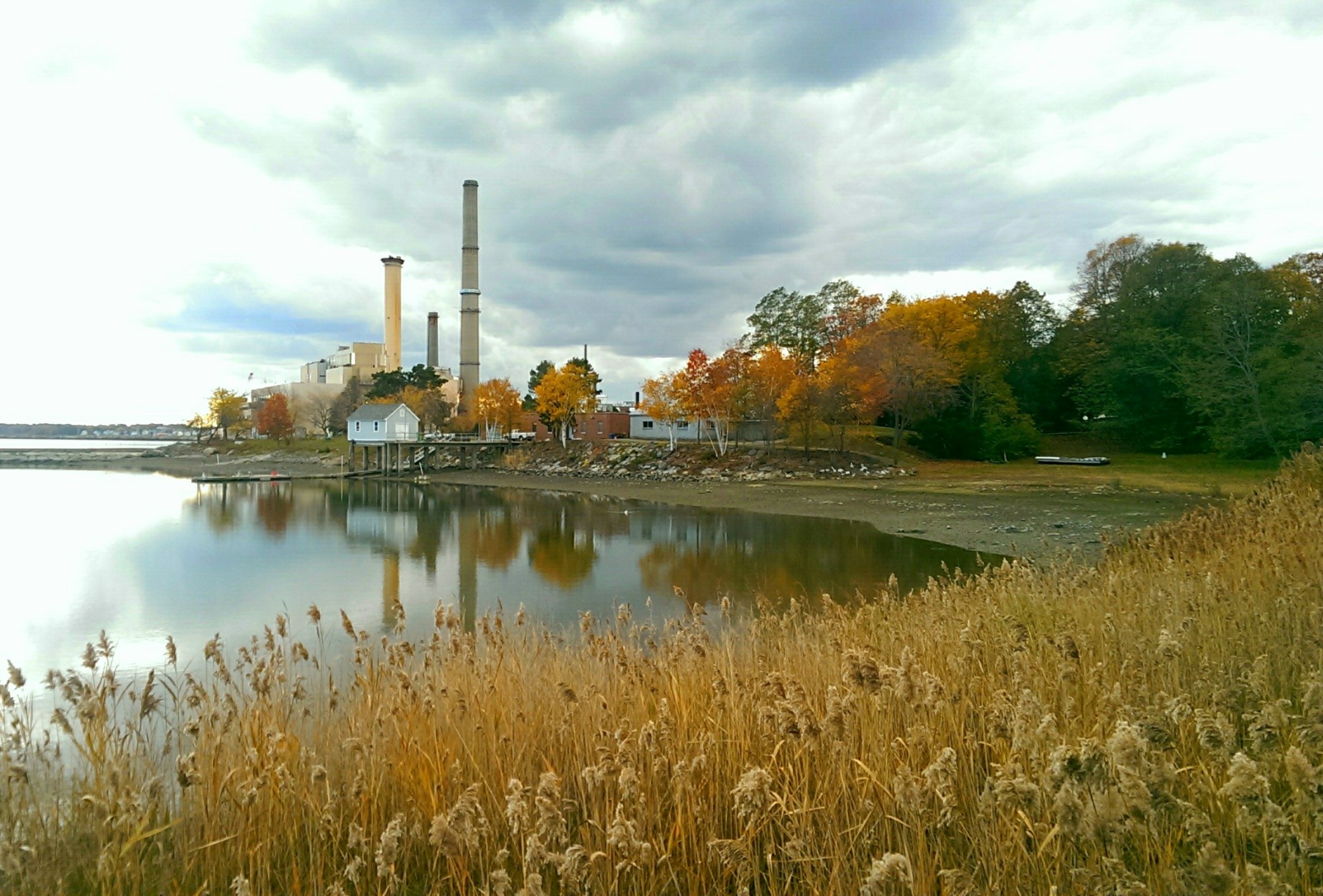 wpid-imag1645_1_1.jpg image