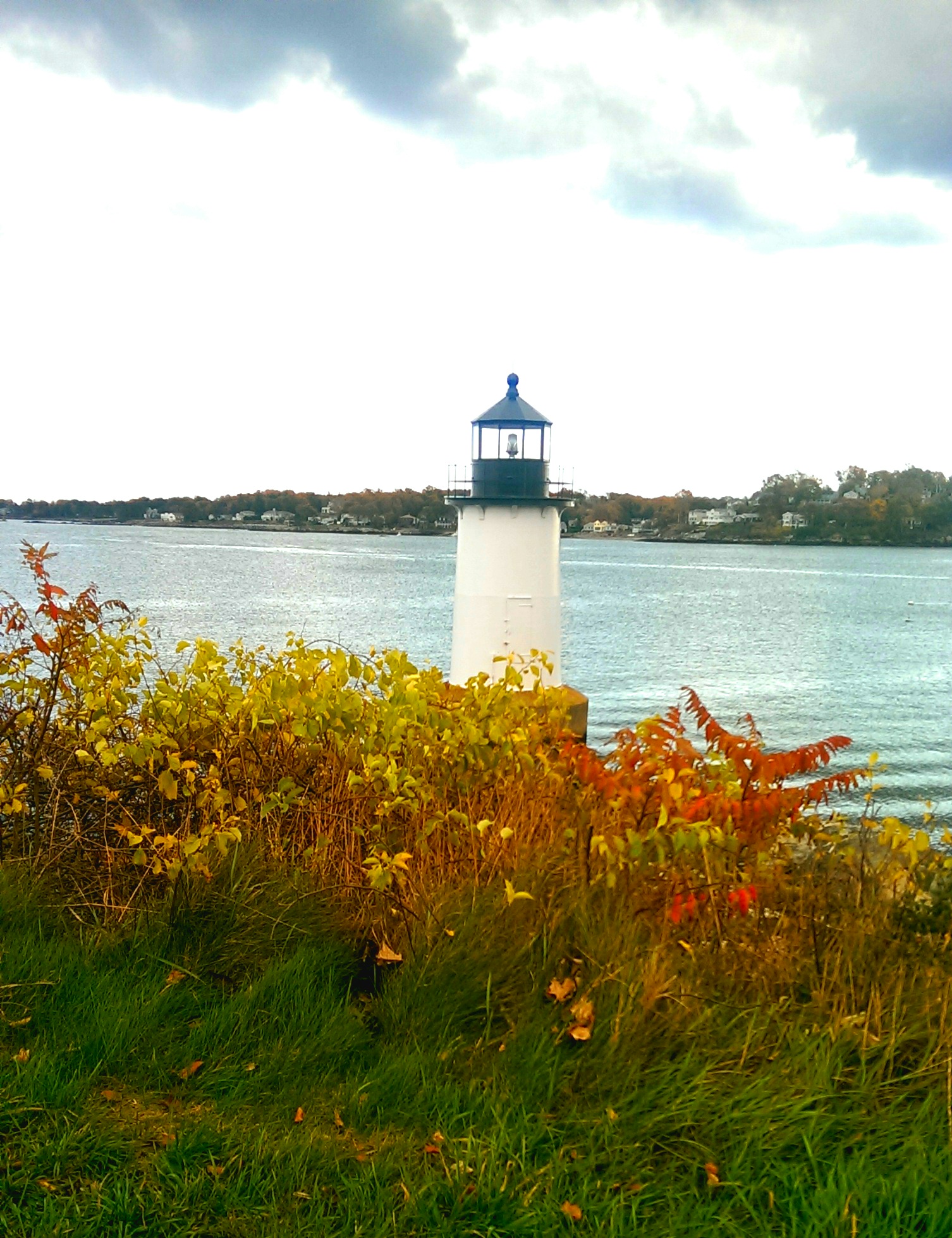 wpid-imag1651_1.jpg image