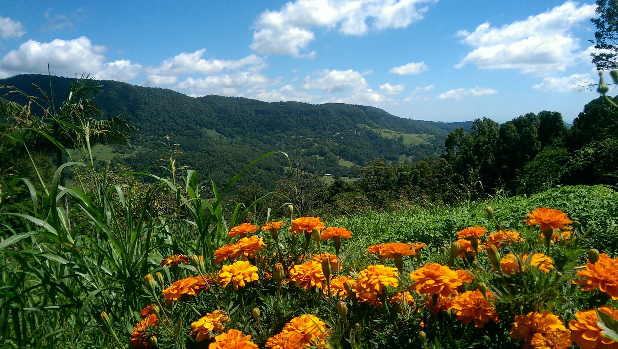 wpid-imag4330.jpg image