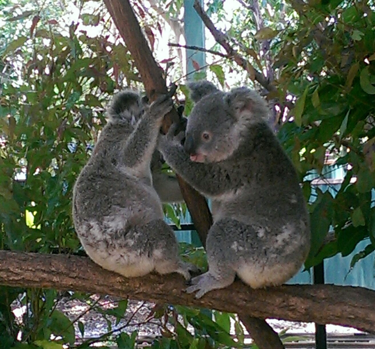 wpid-imag4344_burst002_1.jpg image