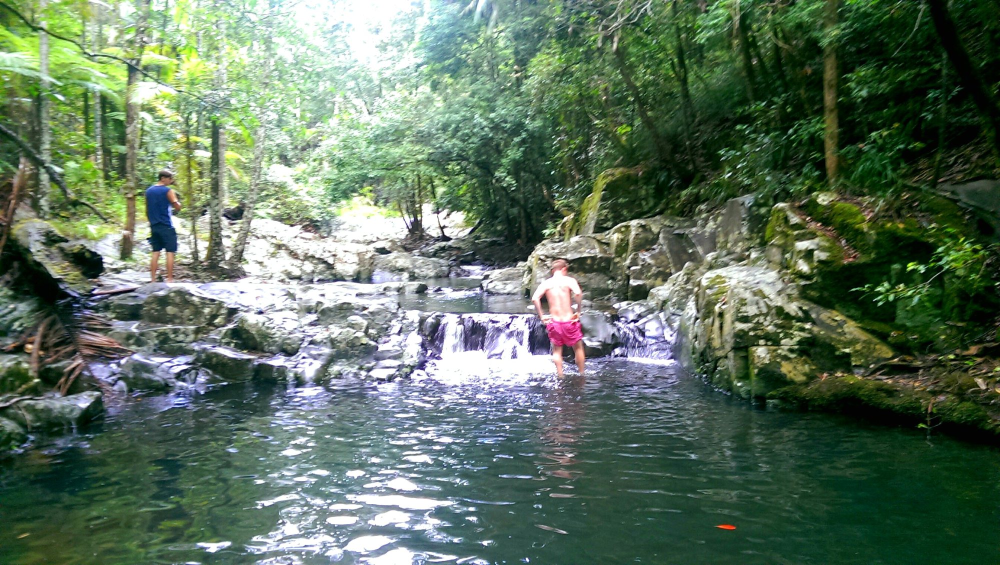 wpid-imag4415_1.jpg image